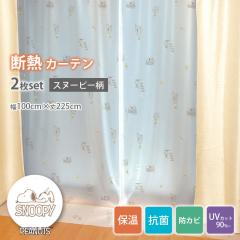 �f�M�J�[�e�����C�i�[ �r�j�[���J�[�e�� 100�~225cm 2���g �X�k�[�s�[ �����΍� �����΍� ��C��h�� �̌� �g�[ ��[ �� ��C�Ւf ��g�[