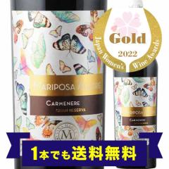 �u1�{�ł����������v�ԃ��C�� �}���|�[�U�E�A���O���E�O�����E���[�����@�E�J�����l�[�� ���B�j���E�}�[�e�B 2020�N �`�� �J�`���|�A���E