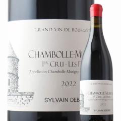 ���C�� �ԃ��C�� �V�����{�[���E�~���W�j�[�E�v���~�G�E�N�����E���E�t���G �V�����@���E�f���{�[ 2022�N �t�����X �u���S�[�j�� �~�f�B