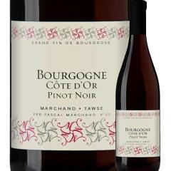 ���C�� �ԃ��C�� �u���S�[�j���E�R�[�g�E�h�[���E�s�m�m���[�� �}���V�����E�g�[�Y 2020�N �t�����X �u���S�[�j�� �~�f�B�A���{�f�B 750m