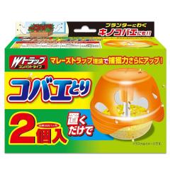 ���C�I���P�~�J�� W�g���b�v �R�o�G�Ƃ� �{�� 2�� ����񏤕i