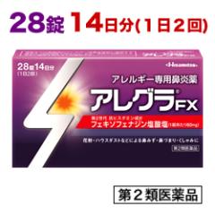 �y��2�ވ��i�z�y�v������z�A���O��FX(�@����) 28���y�Z���t���f�B�P�[�V�����Ő� �Ώەi�z