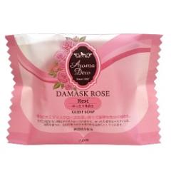 �y�N���o�[�R�[�|���[�V�����z�A���}�f���E�@�Q�X�g�\�[�v�@�_�}�X�N���[�Y�̍���@�R�T��