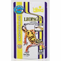 �L���[���� ���I�p�Q�� 60g �y�b�g ����񏤕i �ܖ������F3�����ȏ�