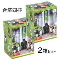 �t�B�M���A �����l�q 1��2���Z�b�g �G�[�� �}�X�R�b�g ���킢�� ���� �L ���₵ �O�b�Y �u�� ����