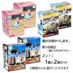 �t�B�M���A �L�����a���肵�܂��BBOX �ނ���a2�L�����̂Ђ܂Ԃ� �Y���I�I 1��2���Z�b�g �G�[�� �}�X�R�b�g ���킢�� ���� �L ���₵