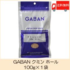 �������� �M���o�� �X�p�C�X GABAN �N�~�� �z�[�� 100g�~�P��