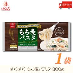 �͂��΂� �������p�X�^ 300g ��������