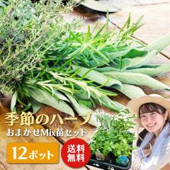 yqy 炵LɁI G߂̃n[u ܂ 12|bg Mix c Zbg