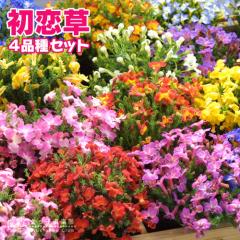  i ncRC\E j4iZbg iVmeBAj