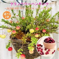 �N�����x���[�n���M���O�y�I�ׂ�2�F�z�`���f��PP���^���o�X�P�b�g�V���[�Y�`