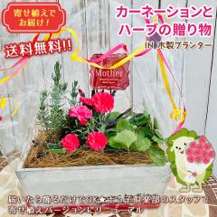 ��̓��̃v���[���g �������� �J�[�l�[�V�����ƃn�[�u�̂�������� IN �ؐ��v�����^�[