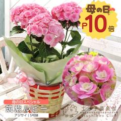 ��̓� ������ �A�W�T�C�w �}�����r�[ �x 5���� �J�S���� �������� �M�t�g �v���[���g