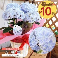 ��̓� ���d�炫 �A�W�T�C�w ���؋� �x�u���[ 5���� �J�S���� �������� �M�t�g �v���[���g