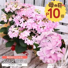 ��̓� ���炫 �A�W�T�C�w �_���X�p�e�B �x5�����J�S���� �������� �M�t�g �v���[���g