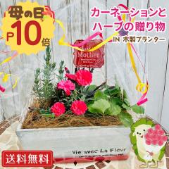 ��̓��̃v���[���g �������� �J�[�l�[�V�����ƃn�[�u�̂�������� IN �ؐ��v�����^�[