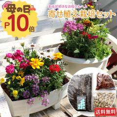 ��̓��̃v���[���g �w �񂹐A�� �͔|�Z�b�g �x�y �������� �z�y �I�ׂ锫�^ �z