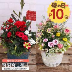 ��̓� �y���q��y�� �̕�̓������񂹐A�� �������� �M�t�g �v���[���g