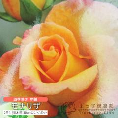 �l�G�炫 ���� �w ���i���U �x 2�N�� �ڂ��ؕc �i �t�����o���_���[�Y �j ����