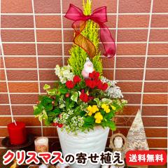 NX}X ̊񂹐A i S[hNXg ^ VN ^ AbT ^ rI ^ ACr[ ( wf )@Ȃ j y  z 