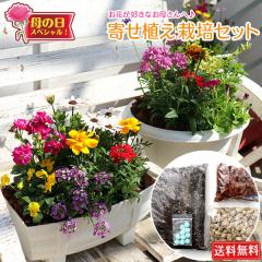 ��̓��̃v���[���g �w �񂹐A�� �͔|�Z�b�g �x�y �������� �z�y �I�ׂ锫�^ �z