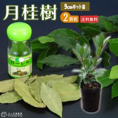 [@j@ 9cm|bgc y  z y 2Zbg z