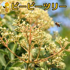 A w r[r[c[ x 9cm|bgc iCkSVj