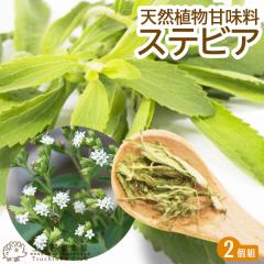 �X�e�r�A 9cm�|�b�g�c �y 2�Z�b�g �z