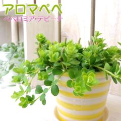 ~jϗt w A}yy x yy~AEfs[i 7.5cm|bgc