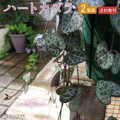 n[gJY@9cm|bgc@y  z y 2Zbg z