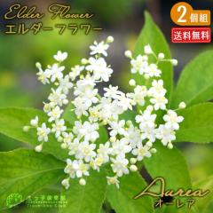 G_[t[ i mjgR j wI[Ax 9cm|bgc@y  z y 2Zbg z