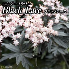 G_[t[ i mjgR j w ubN[X x 9cm|bgc