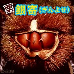 �I �w ��� �i ����悹 �j �x 15cm�|�b�g�c �y �������� �z