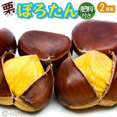 �I  �w �ۂ낽�� �x �Z�b�g �i 2�i��g �j �엿�t��!! �y �������� �z