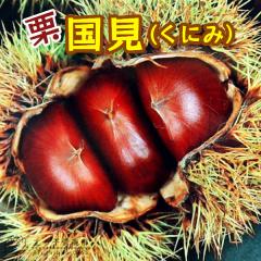 �I �w �����i ���ɂ� �j �x 15cm�|�b�g�c �y �������� �z