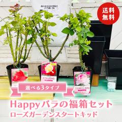 Happy �o���̕����Z�b�g�y�I�ׂ�3�^�C�v�z�`���[�Y�K�[�f���X�^�[�g�L�b�h�`