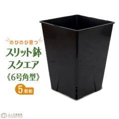 �̂т̂ш�� �w �X���b�g�� �X�N�G�A �x 6���p�^ �y5�Z�b�g�z�y �������� �z