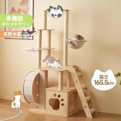 �u�N�[�|���z�z���v�ؐ� �L���b�g�^���[ �L�^���[ �L���b�g�n�E�X �L���b�g�c���[ �����j���O�z�C�[���t�� �l�R�^���[ �����F���D ���R��