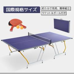 法人限定】 EVERNEW エバニュー EKD513 卓球フェンスN-200BL メーカー