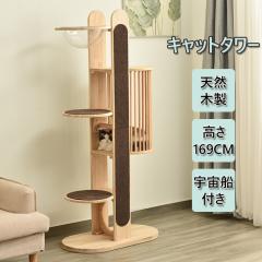 �u�N�[�|���z�z���v�L���b�g�^���[ �L�^���[ �ؐ��I�[�N�� �N�b�V�����t�� ��������t�� ��� �����u���^ ������� ���� �܂Ƃ��{�[��