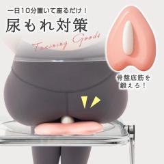 ���Ւ�؃g���[�j���O �A���� ���Ւ�� ���Ւ�؃N�b�V���� �g���[�j���O ���ՃN�b�V���� �O�b�Y ���Ւ�؃g���[�j���O ���� �Y�� �A�R��