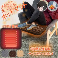 �u100�~OFF�N�[�|���z�z���v�u���[�v�d�C�}�b�g �z�b�g�}�b�g �z�b�g�J�[�y�b�g �q�[�^�[�}�b�g �d�C���z�c ���M���z�c ���M�p�b�h �ԗp