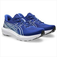 �A�V�b�N�X(asics) �����j���O�V���[�Y GT-1000 15 1011C230-400