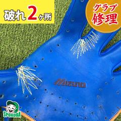 �y�O���u�C���z �O���u��Ԃ�C�� �`�Q�����` [ �O���[�u�C��/���y�A/�������/�����e�i���X/�D��/�C�� ]