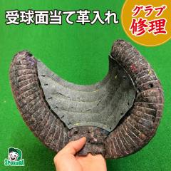 �y�O���u�C���z �ߋ��ʓ��Ċv���� [ �O���[�u�C��/���y�A/�������/�����e�i���X ] �y�k�C���n�� �z���s���i�z