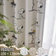 ՌJ[e PEANUTS s[ibc Xk[s[ 100~135cm (1) wtYlXgx EbhXgbN AC{[ x[W O[ L