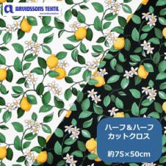 ARVIDSSONS TEXTIL/Arbg\Y eLX^C wVgX^Citronlyckaxn k kn JbgNX z ͂ 75~50cm n[