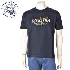 �V�i�R�o SINACOVA 2026�t�ĐV�� �����Y ����T�V���c