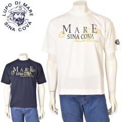 �V�i�R�o SINACOVA 2026�t�ĐV�� �����Y �h���b�v�V�����_�[T�V���c