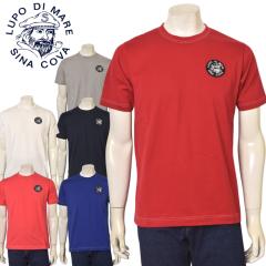 �V�i�R�o SINACOVA 2025�t�ĐV�� �����Y ����T�V���c